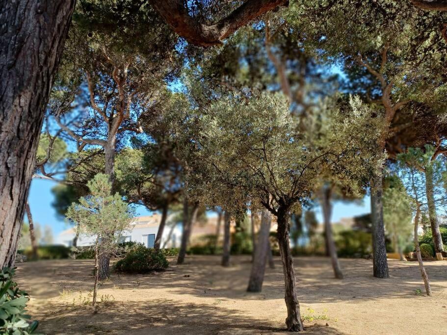 Appartement Roc Mar Llafranc