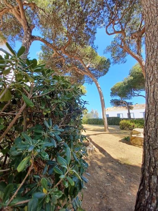 Appartement Roc Mar