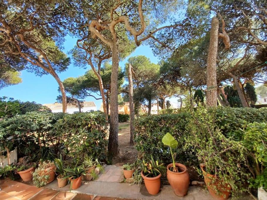 Roc Mar Apartament